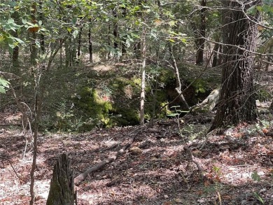 Located within the Wolf-Ridge Estate, this is a beautiful - photo 23