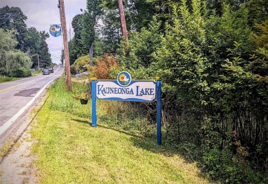 Lake Lot For Sale in Kauneonga Lake, New York