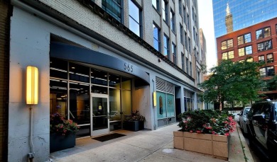 Lake Michigan - Cook County Home For Sale in Chicago Illinois