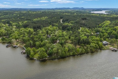 LAY LAKE MAIN CHANNEL LOT! Exceptional Views, Drive is in - photo 13