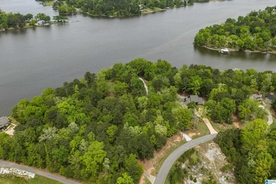 LAY LAKE MAIN CHANNEL LOT! Exceptional Views, Drive is in - photo 19