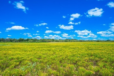 Boasting Nine Active Wells, this +/- 100 acre legacy ranch, just - photo 21