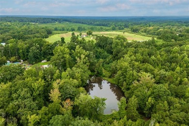 (private lake, pond, creek) Acreage For Sale in Anderson South Carolina