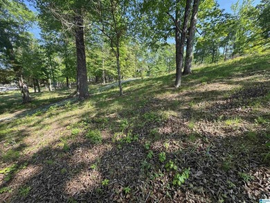 LAY LAKE MAIN CHANNEL LOT! Exceptional Views, Drive is in - photo 22