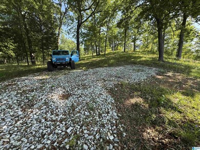 LAY LAKE MAIN CHANNEL LOT! Exceptional Views, Drive is in - photo 23