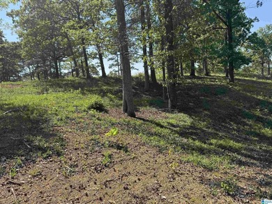 LAY LAKE MAIN CHANNEL LOT! Exceptional Views, Drive is in - photo 24