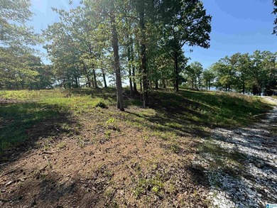 LAY LAKE MAIN CHANNEL LOT! Exceptional Views, Drive is in - photo 26