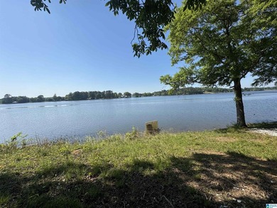 LAY LAKE MAIN CHANNEL LOT! Exceptional Views, Drive is in - photo 27