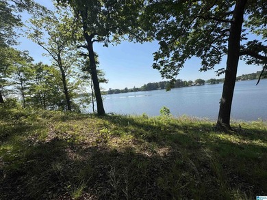 LAY LAKE MAIN CHANNEL LOT! Exceptional Views, Drive is in - photo 28