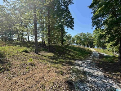 LAY LAKE MAIN CHANNEL LOT! Exceptional Views, Drive is in - photo 29