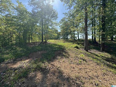 LAY LAKE MAIN CHANNEL LOT! Exceptional Views, Drive is in - photo 31