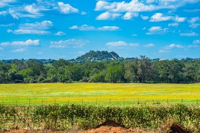Boasting Nine Active Wells, this +/- 100 acre legacy ranch, just - photo 31