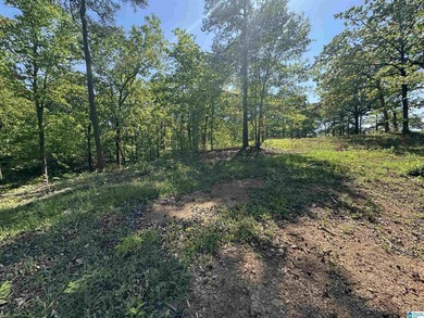 LAY LAKE MAIN CHANNEL LOT! Exceptional Views, Drive is in - photo 32