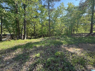 LAY LAKE MAIN CHANNEL LOT! Exceptional Views, Drive is in - photo 33