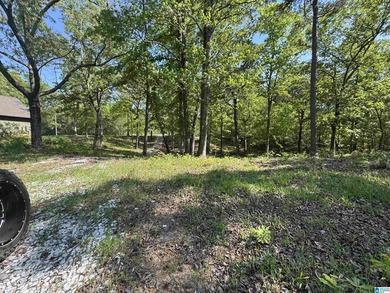 LAY LAKE MAIN CHANNEL LOT! Exceptional Views, Drive is in - photo 34