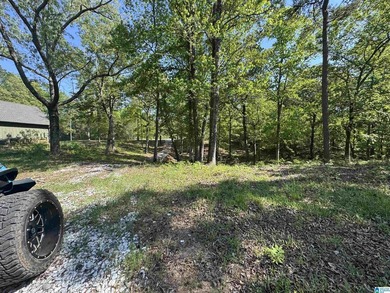 LAY LAKE MAIN CHANNEL LOT! Exceptional Views, Drive is in - photo 36