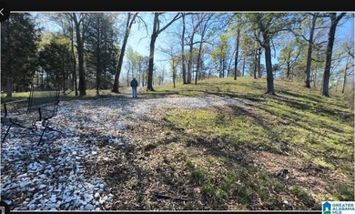 LAY LAKE MAIN CHANNEL LOT! Exceptional Views, Drive is in - photo 37