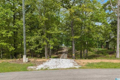 LAY LAKE MAIN CHANNEL LOT! Exceptional Views, Drive is in - photo 39
