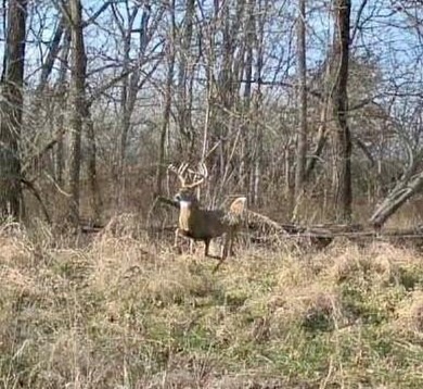 (private lake, pond, creek) Acreage For Sale in Richmond Missouri