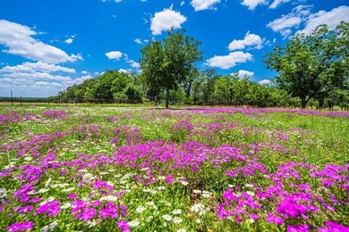 Boasting Nine Active Wells, this +/- 100 acre legacy ranch, just - photo 60