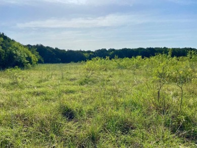 Need space and serenity?  Build your custom home on 1.58 acres - Lake Lot For Sale in Whitney, Texas