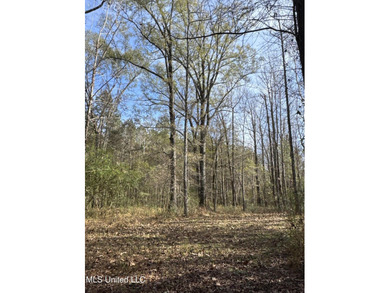 This offering includes four separate 38+/- acre tracts in - photo 15