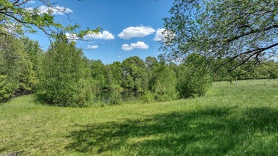 Property in need of significant TLC and being sold as-is; no - photo 24