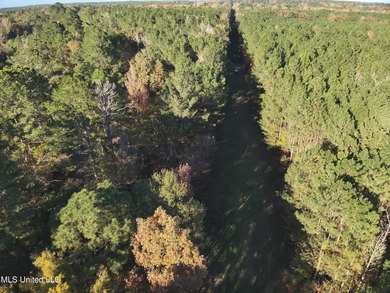 This offering includes four separate 38+/- acre tracts in - photo 35