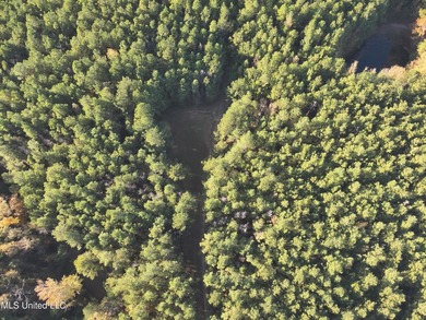 This offering includes four separate 38+/- acre tracts in - photo 43