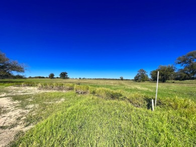 1+ Acre Waterfront Lot on Richland Chambers Lake! - photo 5