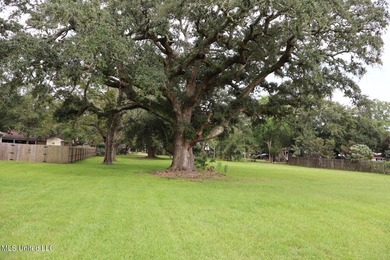 Prime Gulf Coast dirt-positioned in one of South Pascagoula's - photo 2