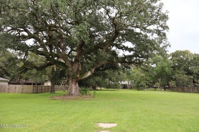 Prime Gulf Coast dirt-positioned in one of South Pascagoula's - photo 4