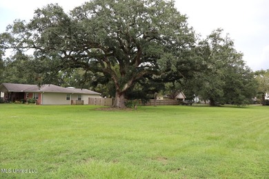 Prime Gulf Coast dirt-positioned in one of South Pascagoula's - photo 8