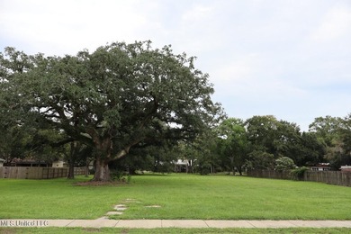 Prime Gulf Coast dirt-positioned in one of South Pascagoula's - photo 9