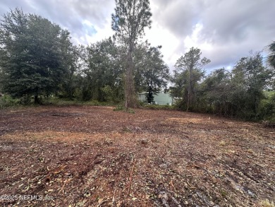 Lake Lot For Sale in Georgetown, Florida