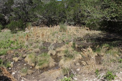 This is the *live water* hunting ranch youve been looking for - photo 14