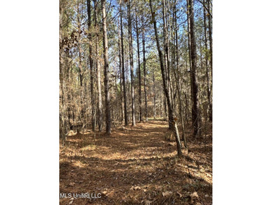 This offering includes four separate 38+/- acre tracts in - photo 14