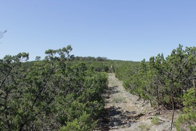 This is the *live water* hunting ranch youve been looking for - photo 17