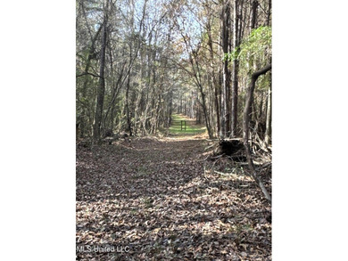 This offering includes four separate 38+/- acre tracts in - photo 20