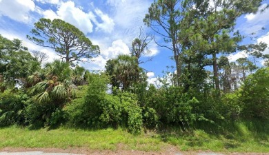 Port Charlotte Waterway Lakes Area Lot For Sale in Port Charlotte Florida