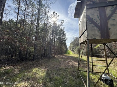 This offering includes four separate 38+/- acre tracts in - photo 31
