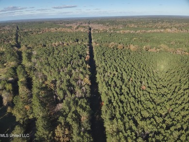 This offering includes four separate 38+/- acre tracts in - photo 36