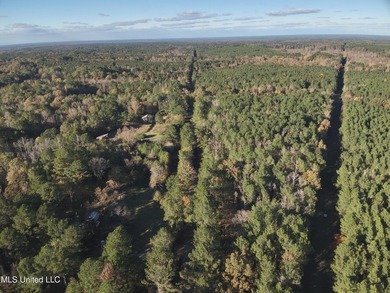 This offering includes four separate 38+/- acre tracts in - photo 37