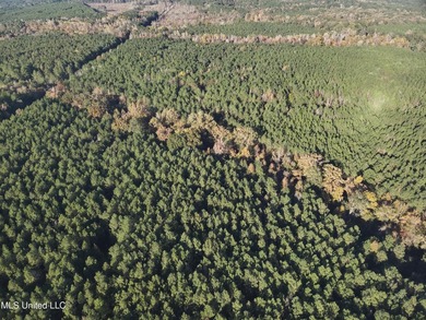 This offering includes four separate 38+/- acre tracts in - photo 39