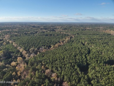This offering includes four separate 38+/- acre tracts in - photo 42