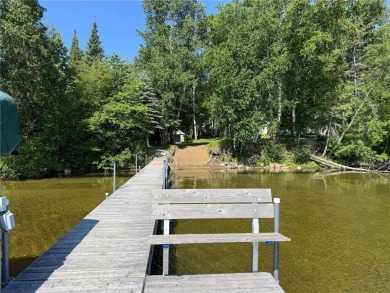 Lake Home For Sale in Palisade, Minnesota