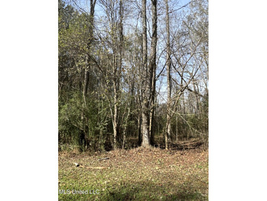This offering includes four separate 38+/- acre tracts in - photo 11