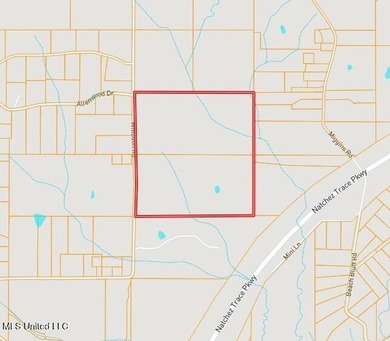 This offering includes four separate 38+/- acre tracts in - photo 44
