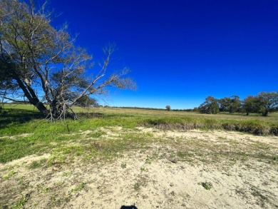 1+ Acre Waterfront Lot on Richland Chambers Lake! - photo 14