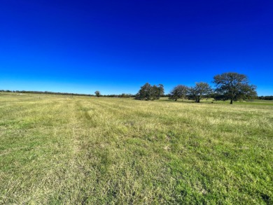 1+ Acre Waterfront Lot on Richland Chambers Lake! - photo 15